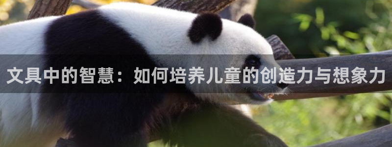 天顺娱乐屠33300：文具中的智慧：如何